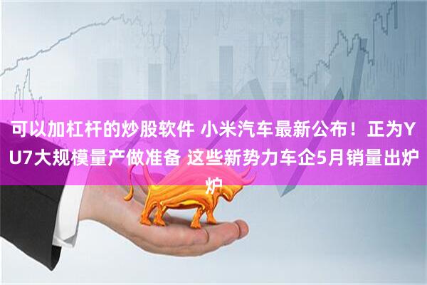 可以加杠杆的炒股软件 小米汽车最新公布！正为YU7大规模量产做准备 这些新势力车企5月销量出炉