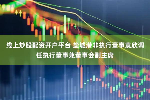 线上炒股配资开户平台 盐城港非执行董事袁欣调任执行董事兼董事会副主席