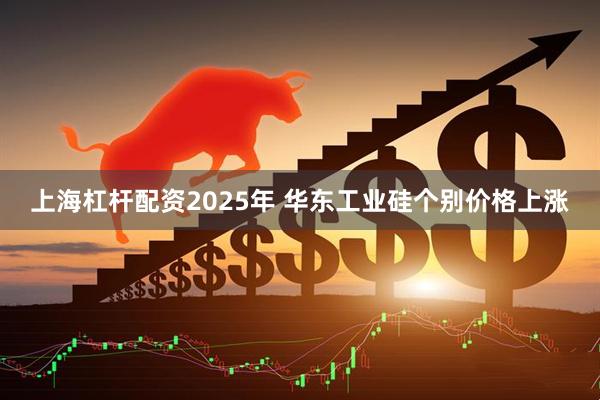 上海杠杆配资2025年 华东工业硅个别价格上涨