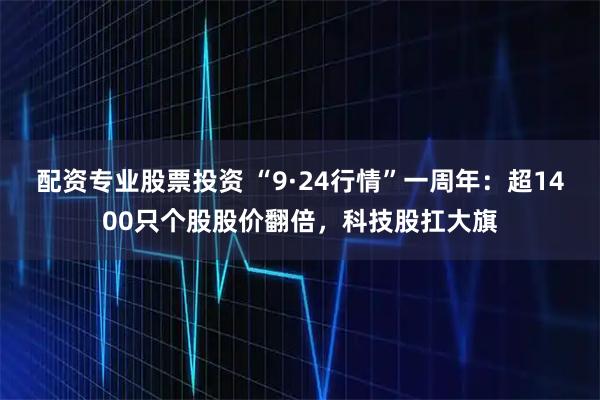 配资专业股票投资 “9·24行情”一周年：超1400只个股股价翻倍，科技股扛大旗